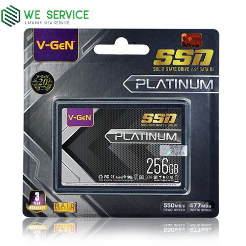 V-GeN SSD 256GB